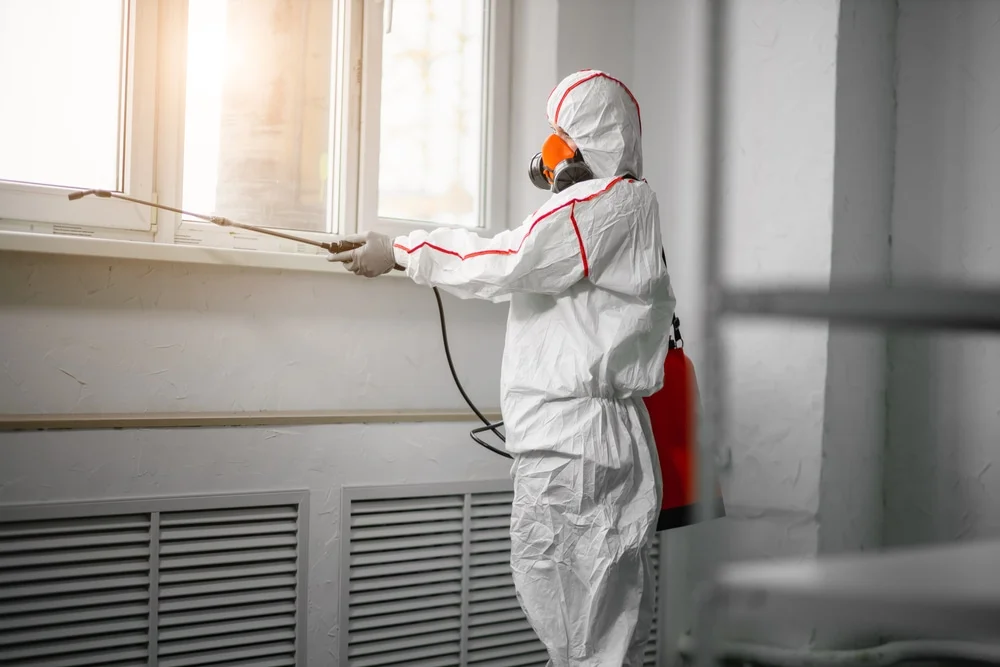 Professional mold remediation services in Green, OH